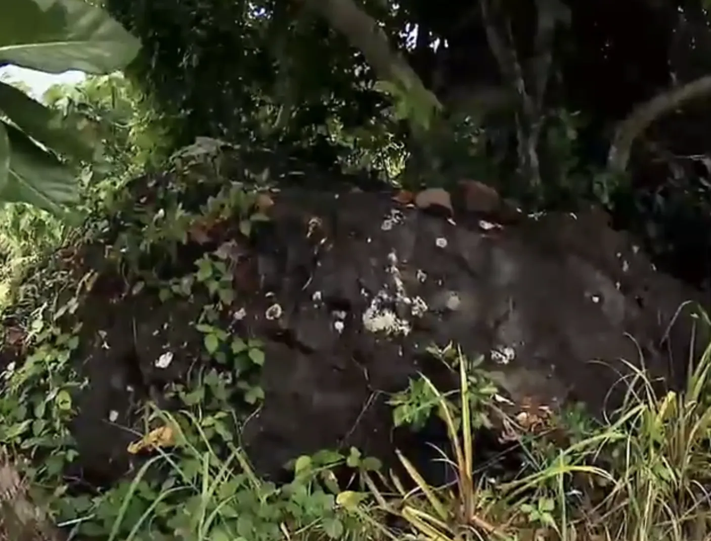 Capture-de%CC%81cran-2025-06-17-a%CC%80-10