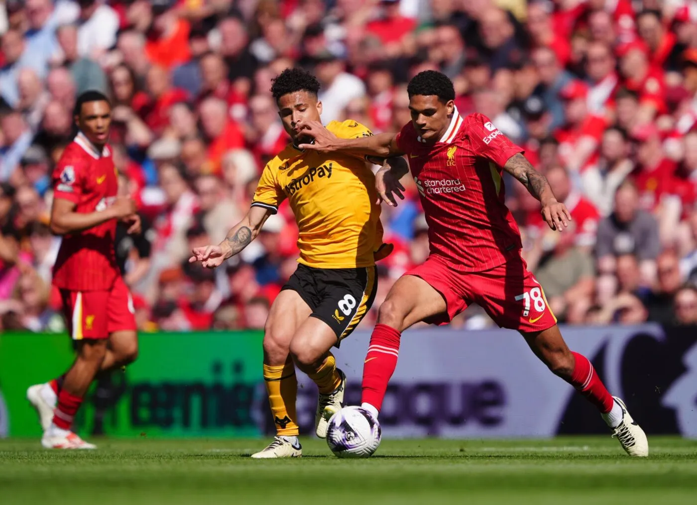 De Liverpool au Bayer : un joueur fait le chemin inverse de Florian Wirtz