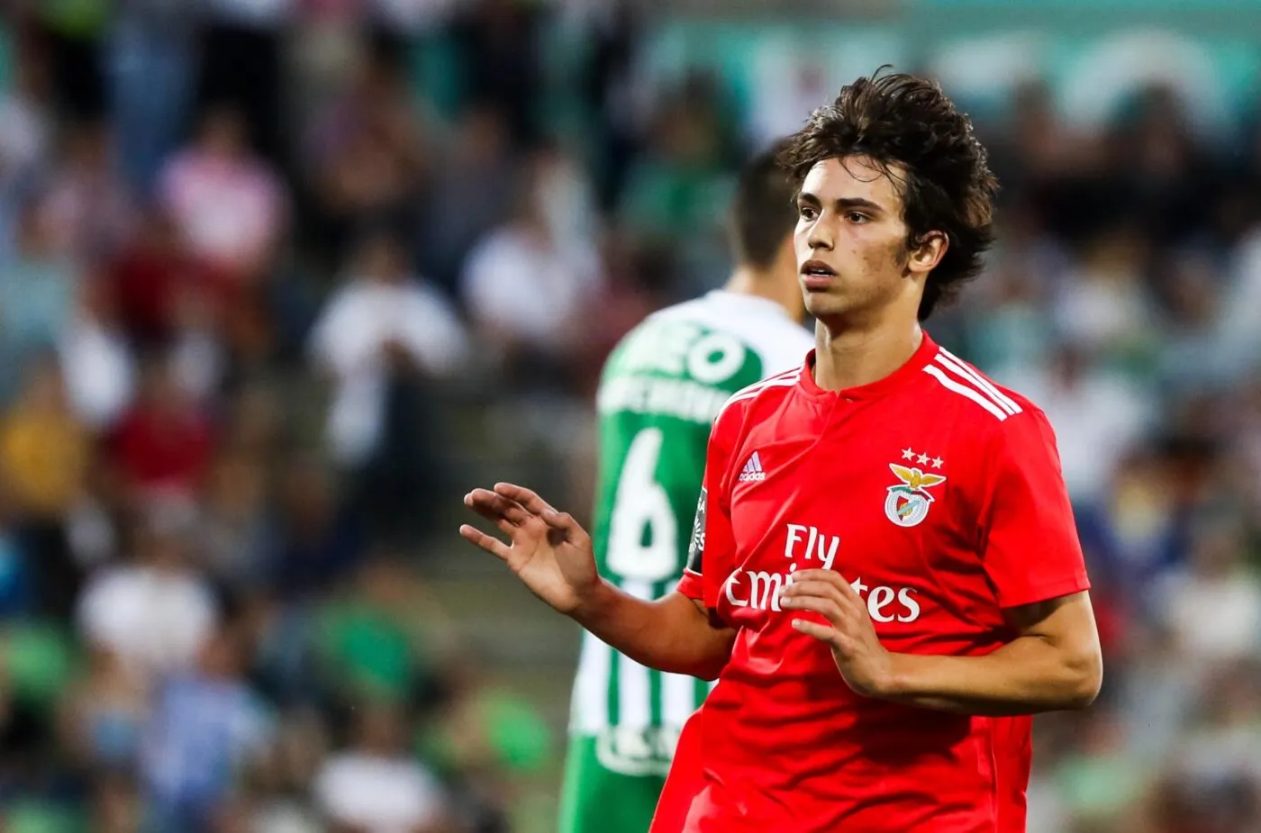 Et si João Félix revenait à Benfica ?