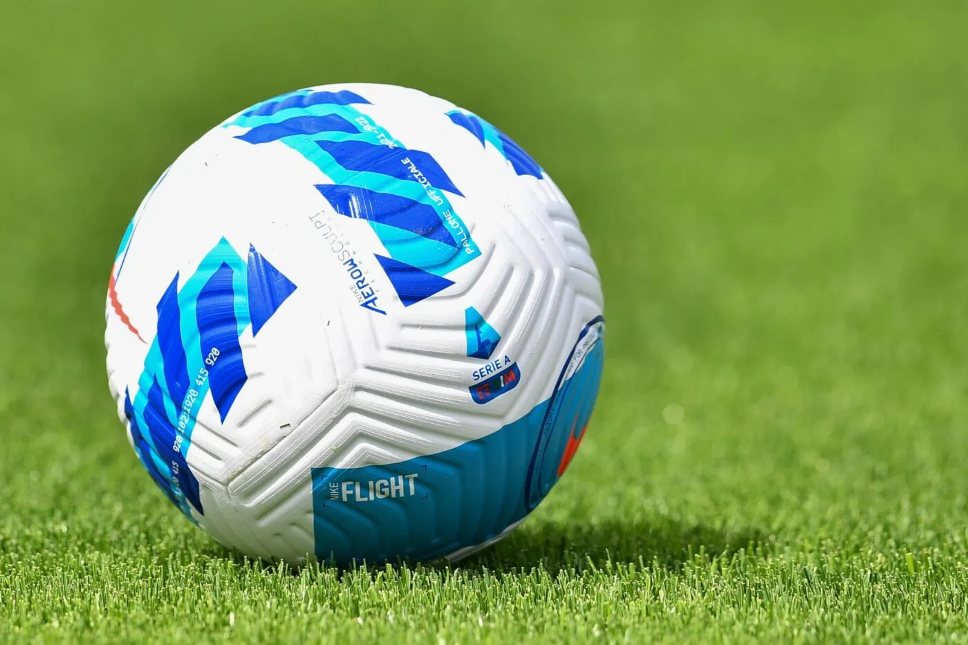 Jameliz benitez smith hot