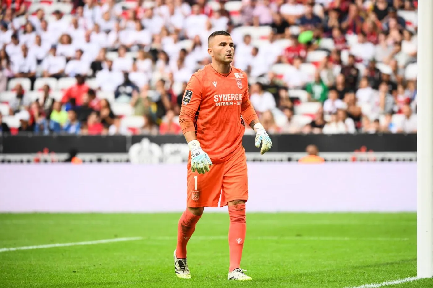 Anthony Lopes ne comprend pas le choix de carrière de Valentin Rongier et Quentin Merlin