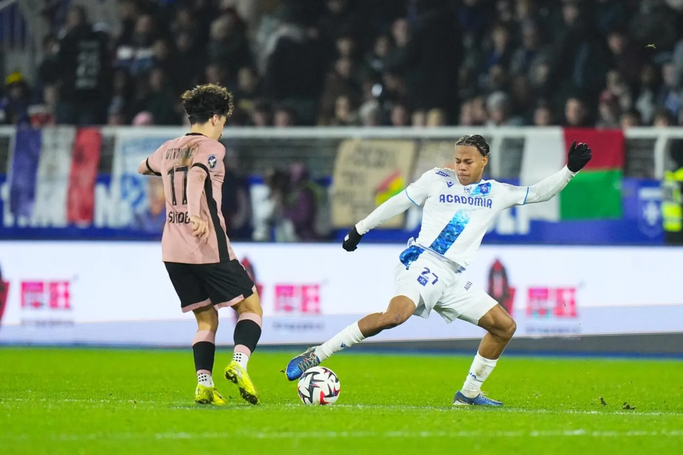 Kévin Danois, un milieu qui a du chien