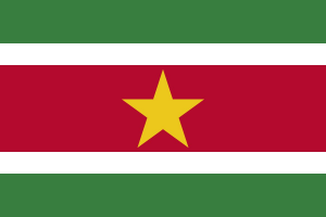 Logo de l'équipe Suriname