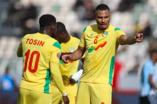 Pourquoi le Bénin a choisi l'écureuil plutôt que le guépard ?