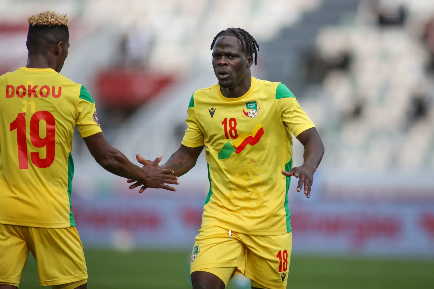 Pourquoi le Bénin a choisi le guépard plutôt que l&rsquo;écureuil ?