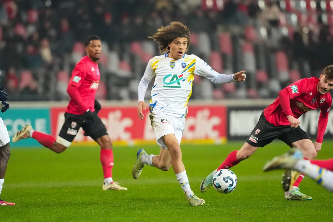 L’OM adopte un jeune Lionceau