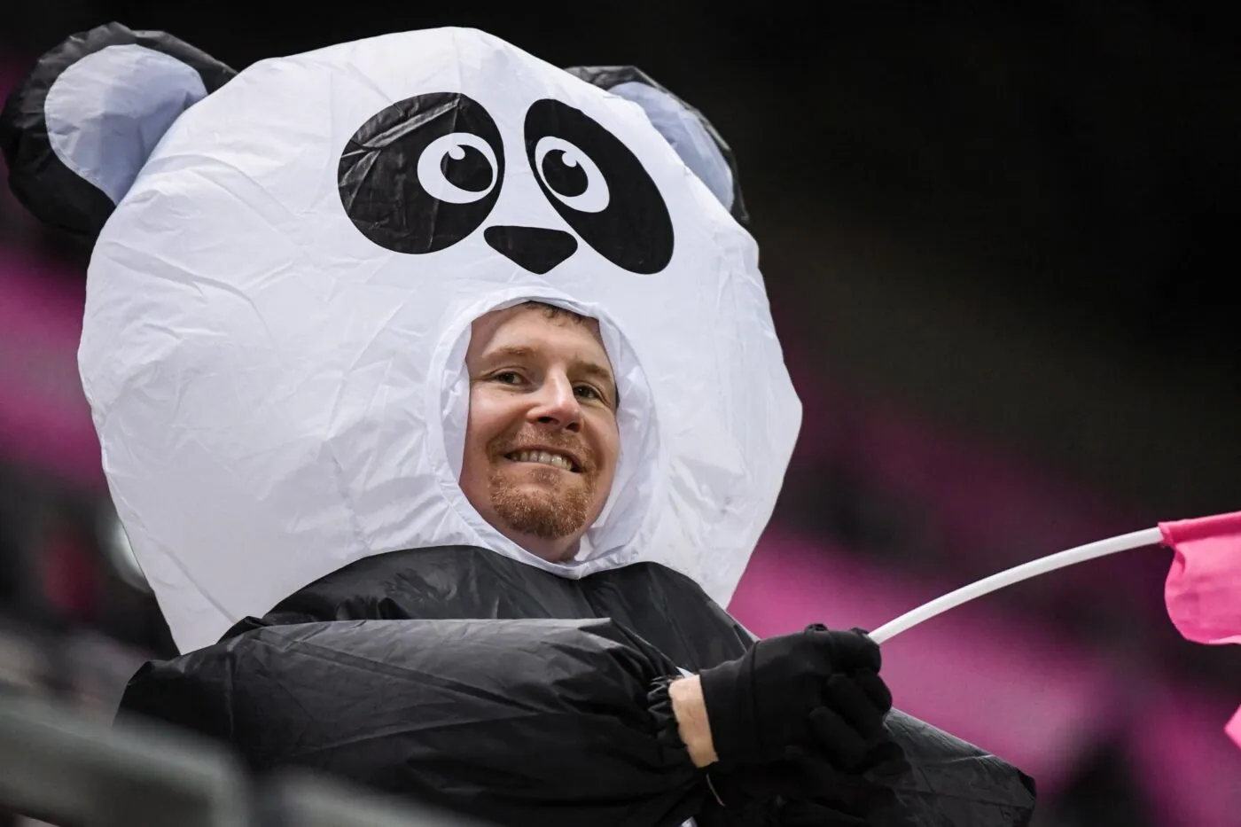 Deux pandas et trois tortues Ninja dans le parcage du SCO