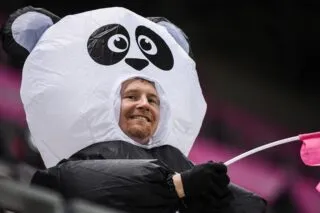 Deux pandas et trois tortues Ninja dans le parcage du SCO