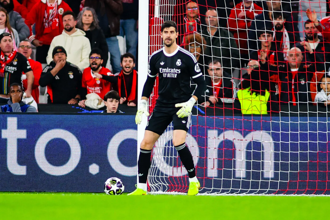 Thibaut Courtois investit au Mans FC après Novak Djokovic et Felipe Massa