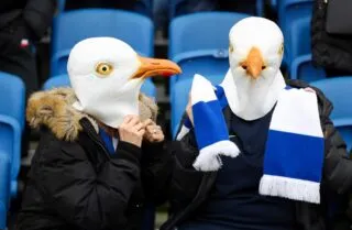 Un joueur amateur amateur d'Istanbul sauve une mouette de la mort grâce à un massage cardiaque