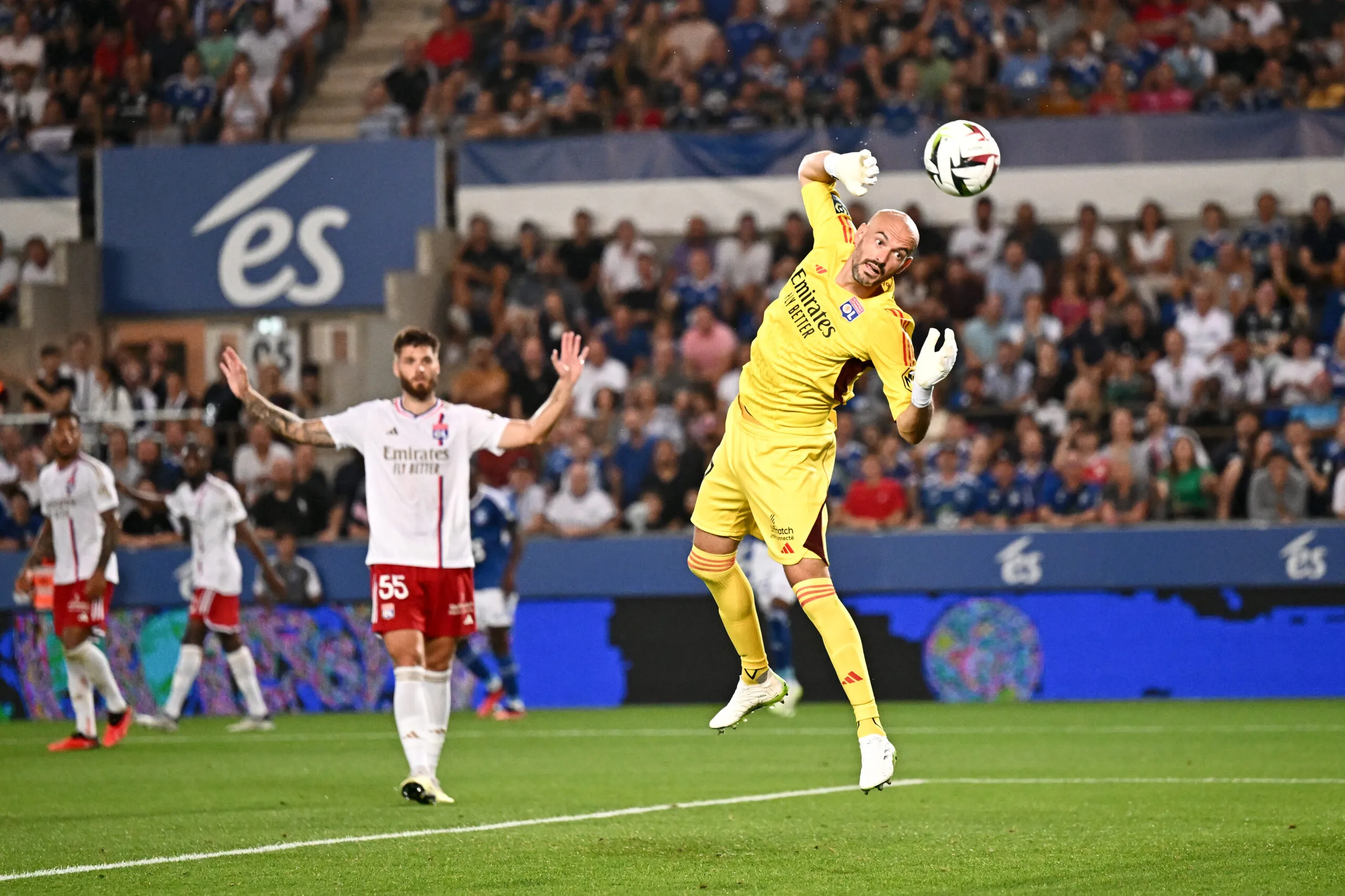 Les gants en l’air !