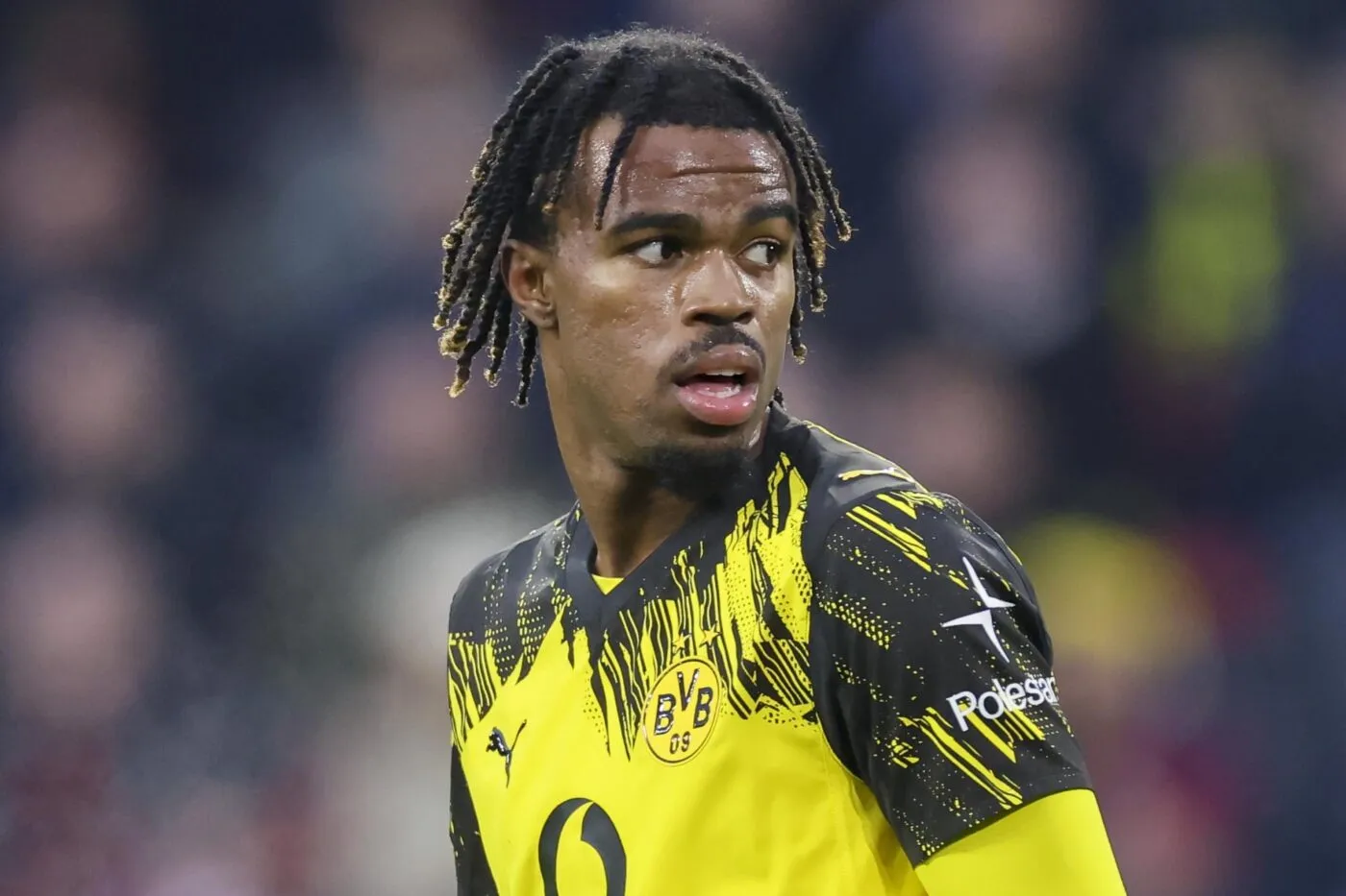 L’équipe nationale autrichienne tient sa recrue