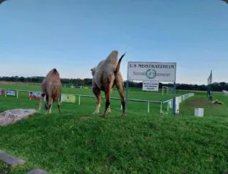 On a rencontré le club le plus poissard de France
