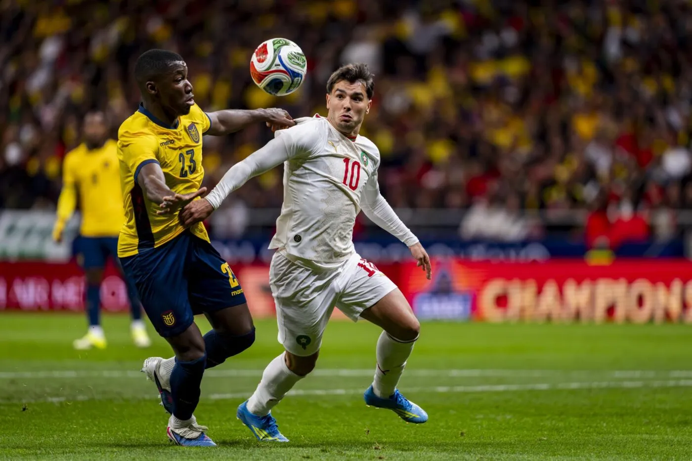 Le champion d'Afrique accroché par l'Equateur