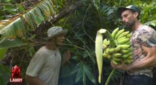 Les notes de Koh-Lanta : les Reliques du destin