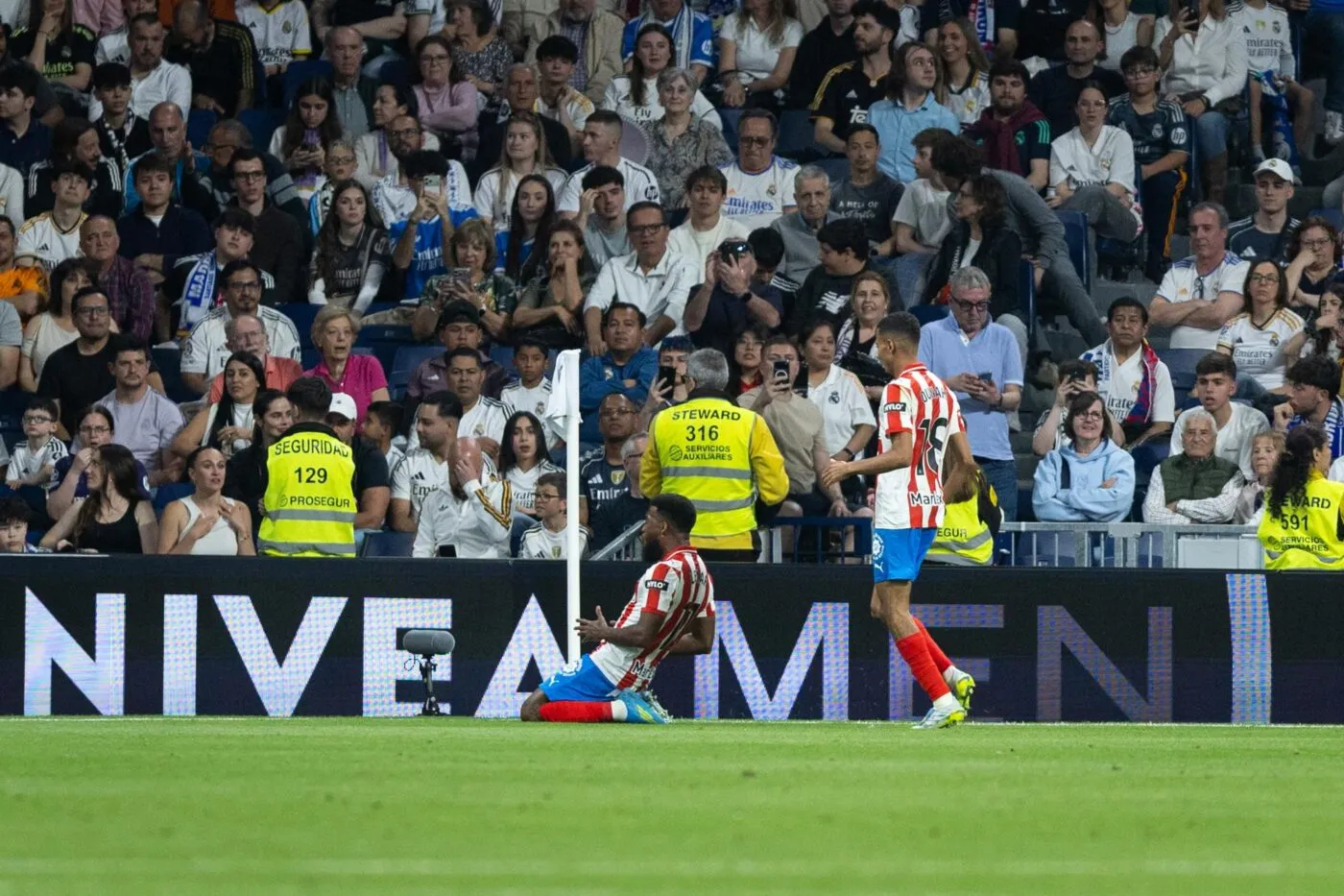 Le come-back d’un champion du monde