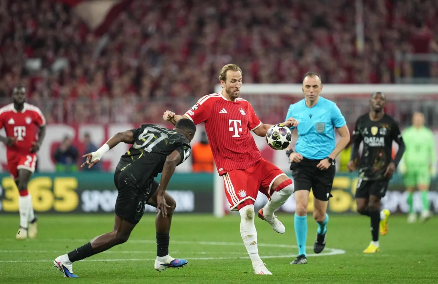 Kane face à Pacho : la bonne altitude