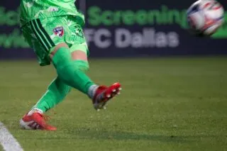 Un curieux visiteur interrompt le jeu en MLS