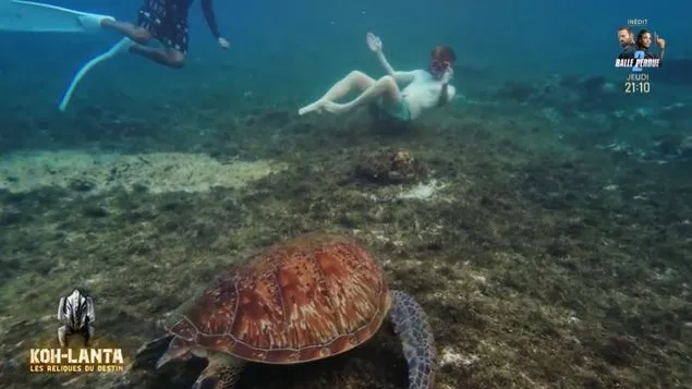 Les notes de Koh-Lanta : les Reliques du destin