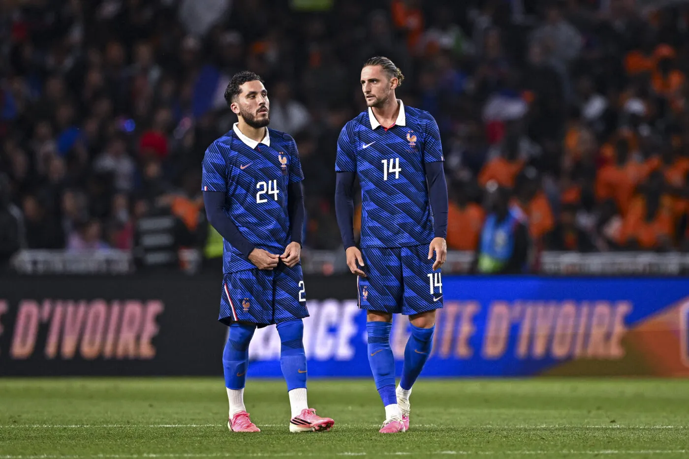 Bleus : liberté, égalité, humilité