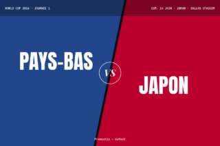 Pronostic Pays-Bas Japon : analyse, cotes et prono Coupe du monde