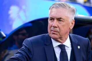 Carlo Ancelotti et Gabriel pointent les lacunes du Brésil