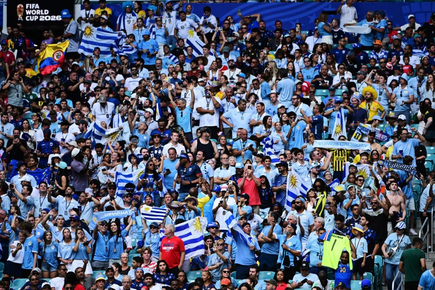 Une supportrice de l'Uruguay demande son compagnon en mariage, la suite va vous étonner !