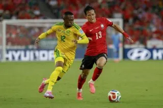 En direct : Afrique du Sud-Corée du Sud (1-0)