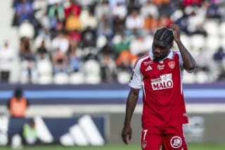 Un ancien titi continue sa route en Allemagne