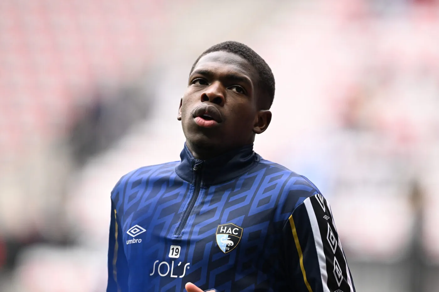 Un ancien du Havre et de Saint-Étienne file à Hull City