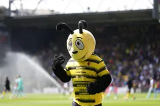 La mascotte de Watford se paye les supporters de Southampton