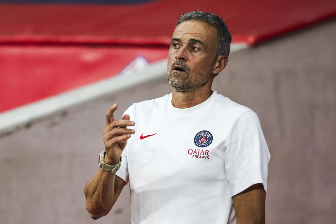 Le PSG prolonge Luis Enrique et cinq joueurs