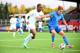 Les Bleuets accrochés en Islande
