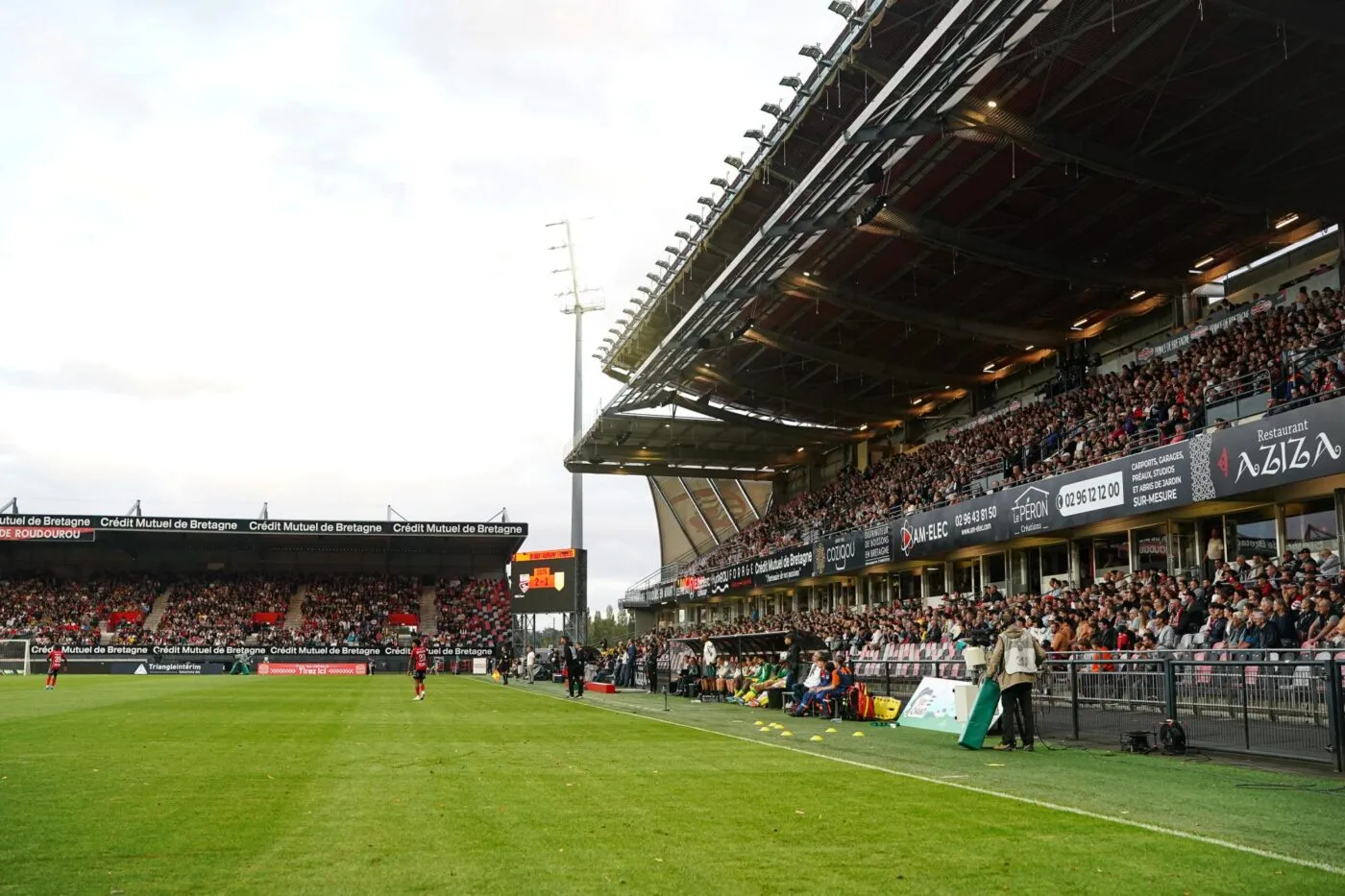 L'ancienne mascotte de Guingamp cherche l'amour