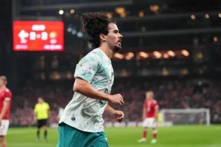 Sans Ronaldo, le Portugal vient à bout du Danemark