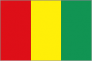 Logo de l'équipe Guinée