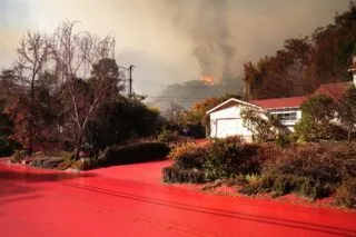 Un fan de l’OM derrière les incendies meurtriers de Los Angeles ? 