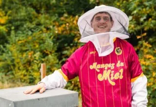 Peut-on vraiment fabriquer du miel à partir d'un maillot de foot ?