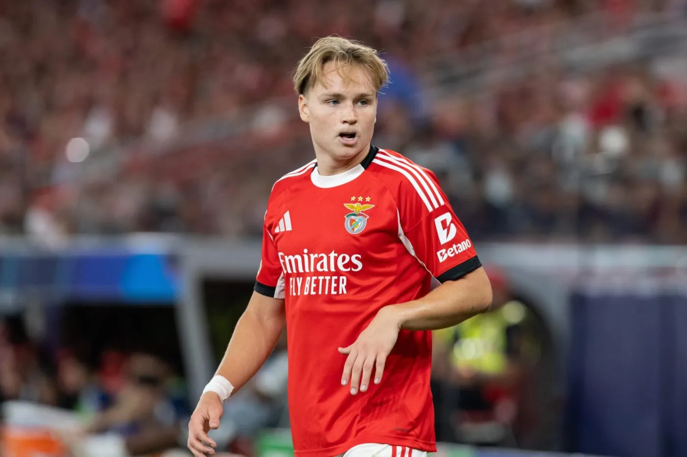 Un joueur norvégien condamné pour la diffusion d’images à caractère sexuel de mineurs