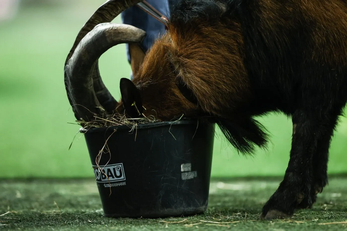 Le raté de l’année vient de D2 croate