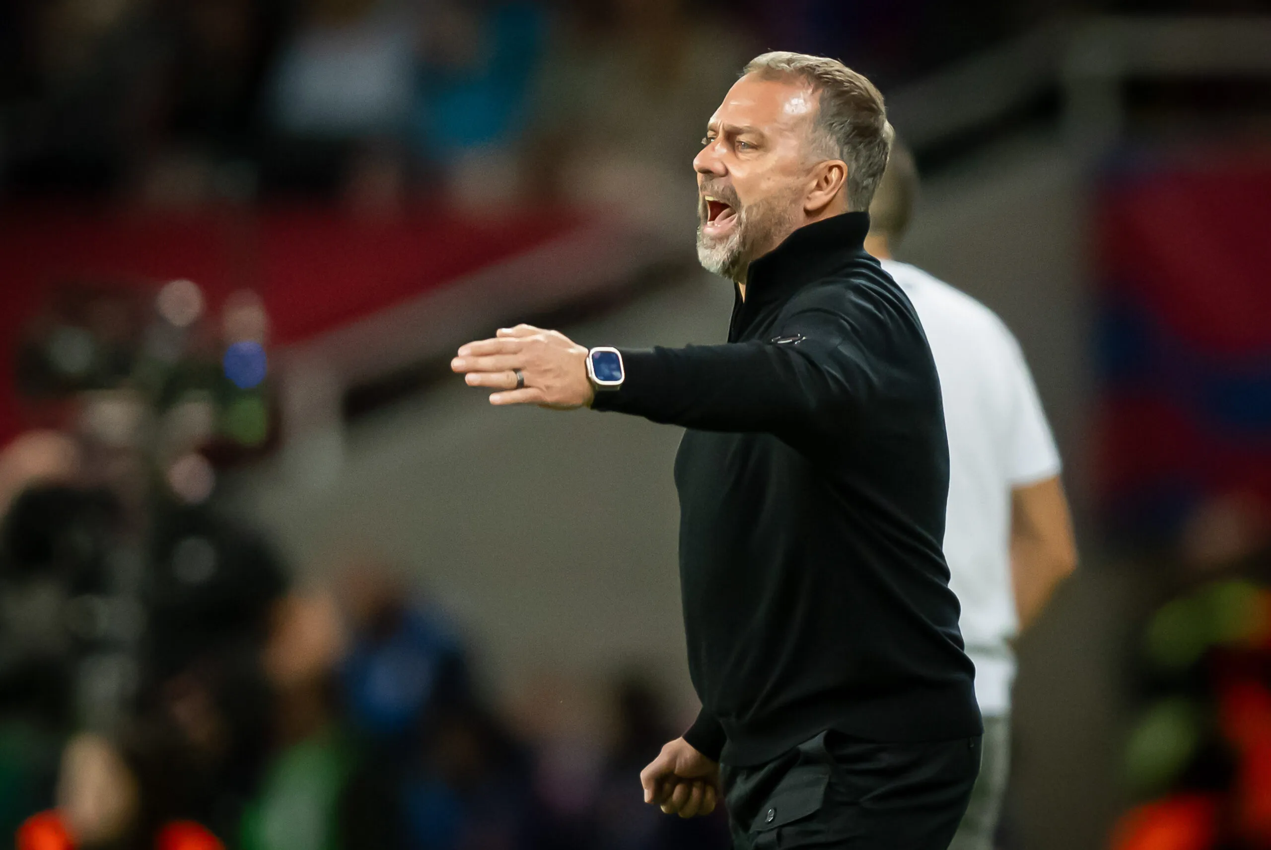 Hansi est dans le zag