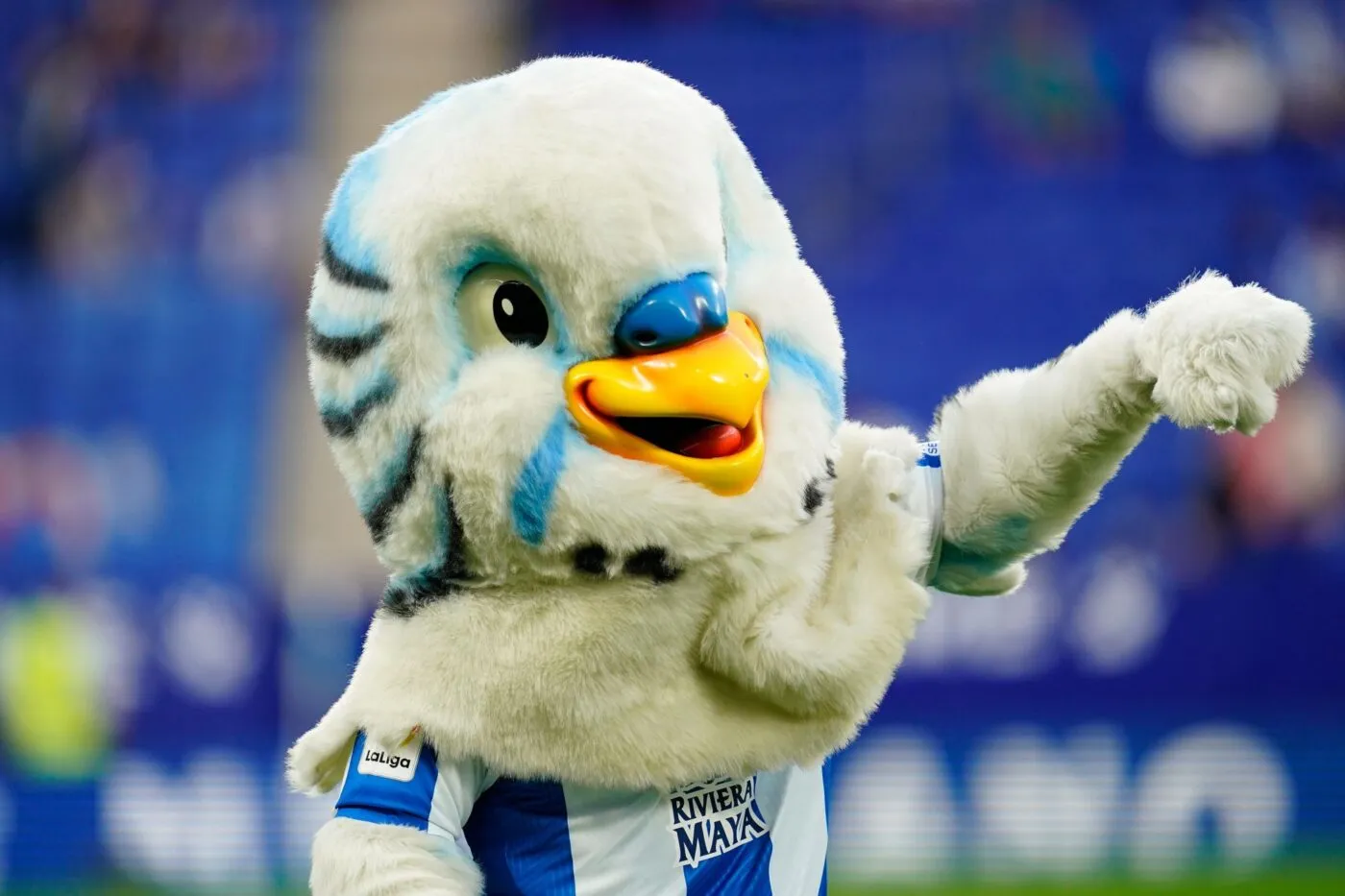 Justice pour la perruche : l’ex-capitaine de Vigo est condamné pour agression sexuelle