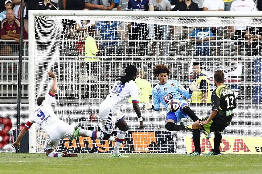 Rassurez-vous, Memo a bien eu des enfants malgré tout.