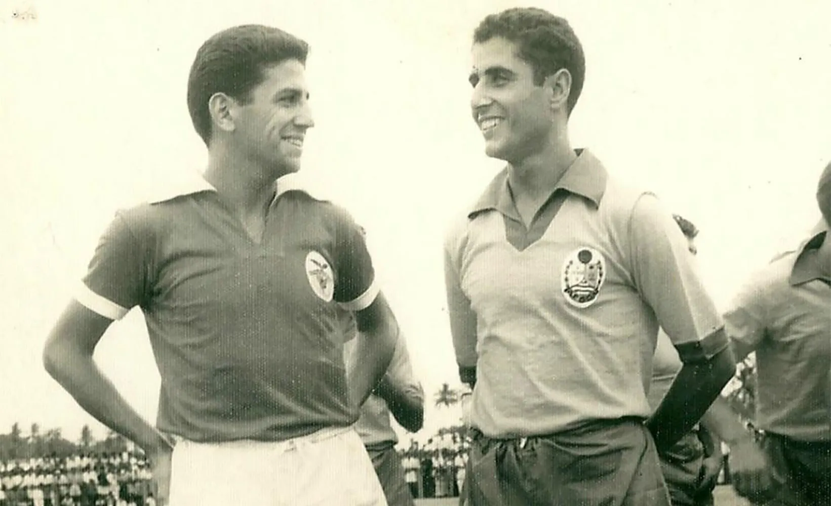 Francisco Palmeiro