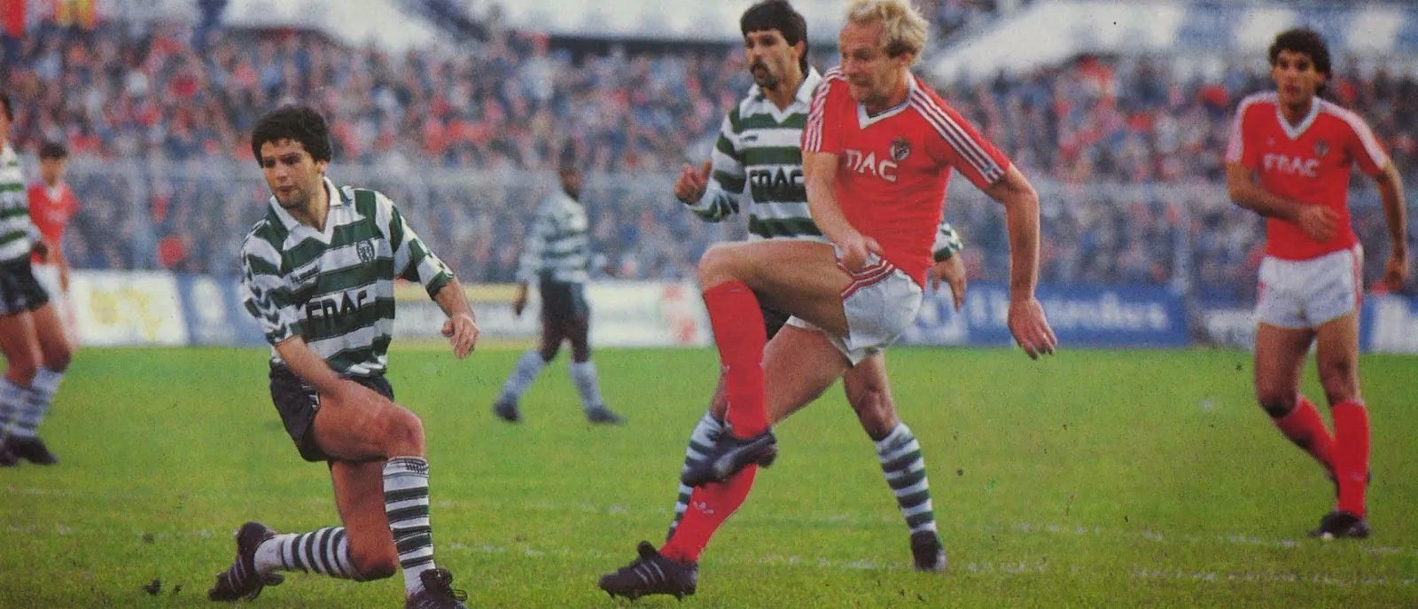 Mats Magnusson