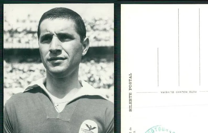 Fernando Cruz