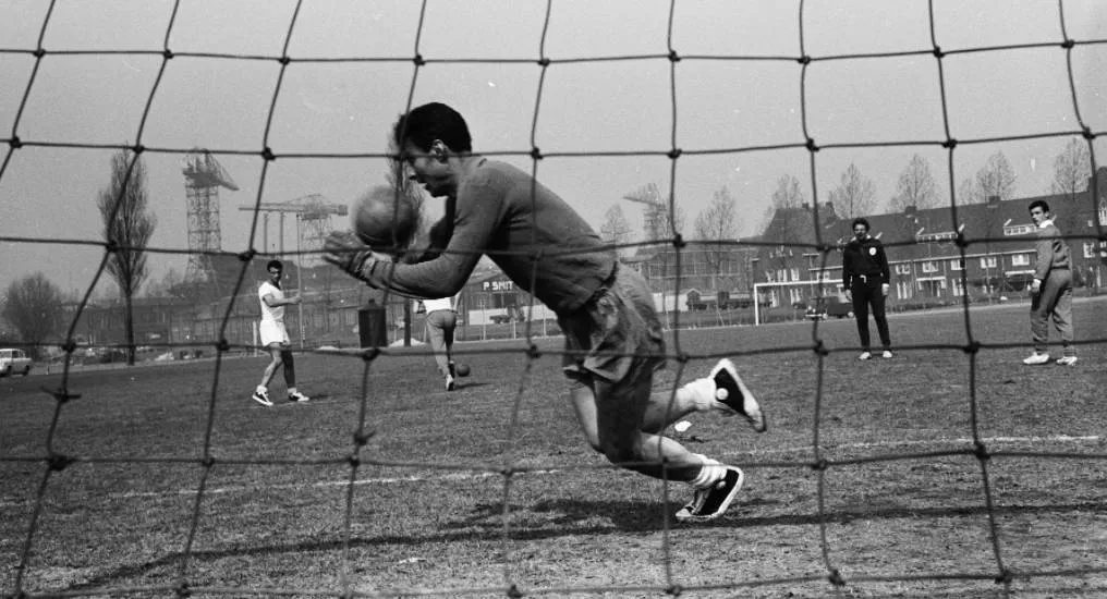 Costa Pereira