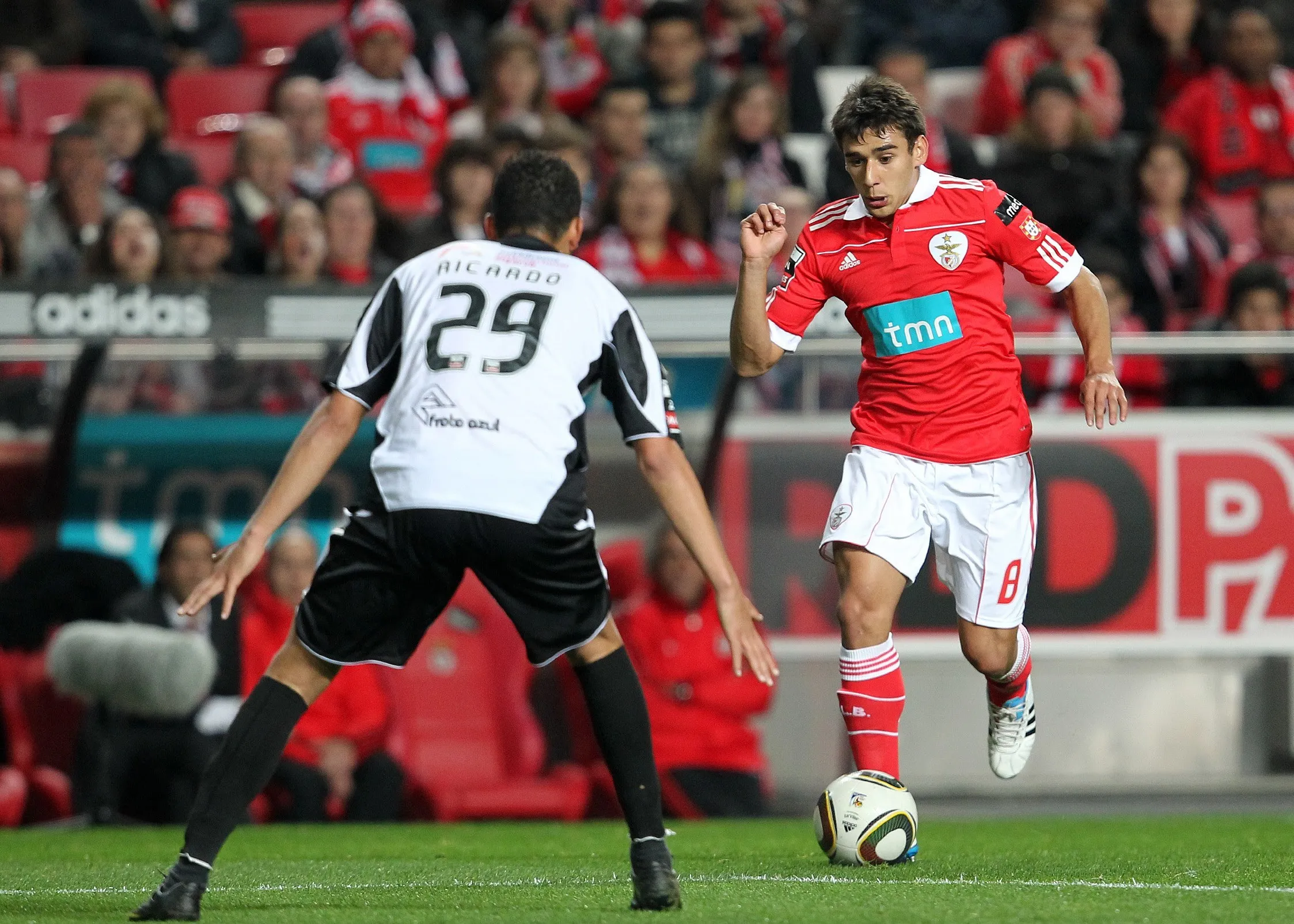 Salvio