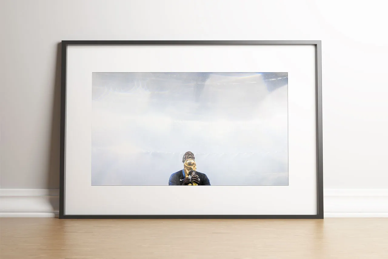 Pogba et la Coupe du monde, 2018