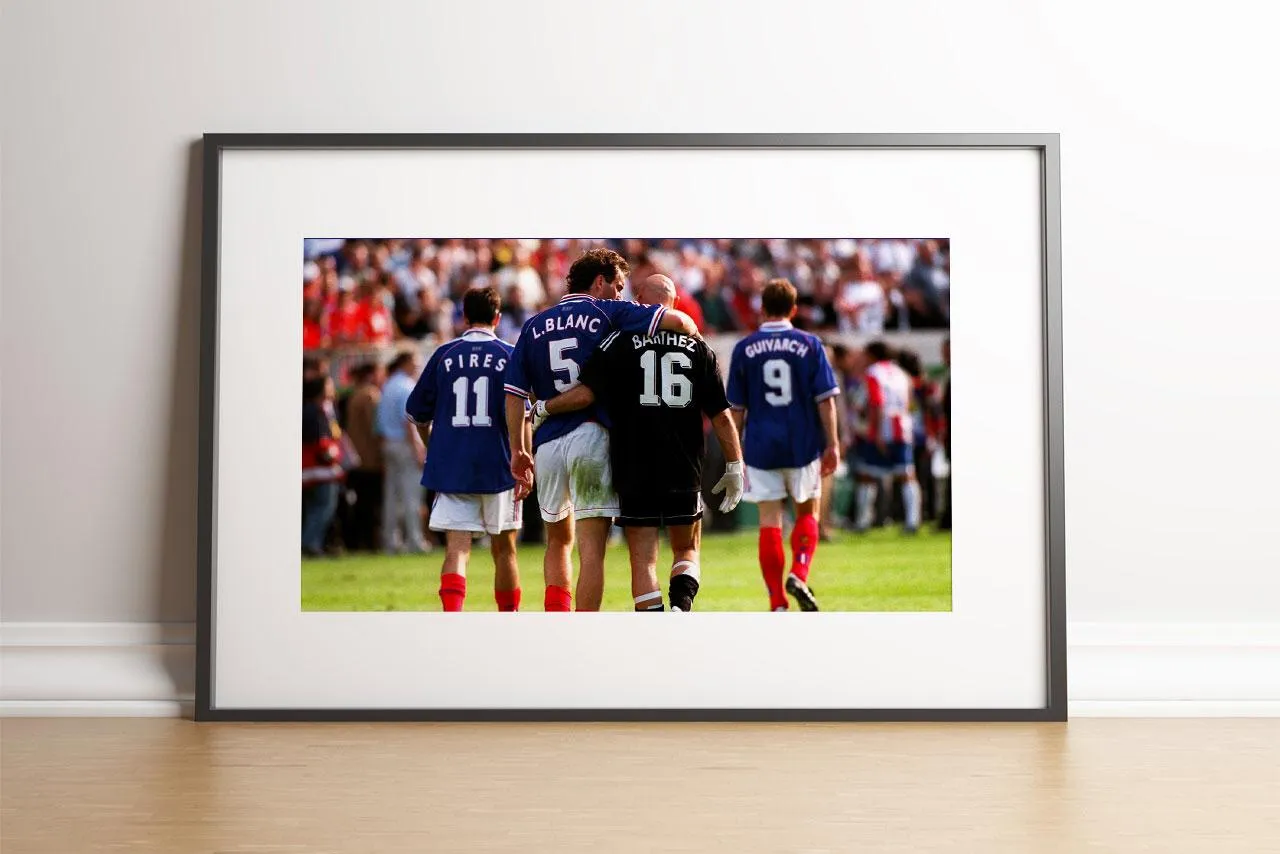 Blanc et Barthez, 1998